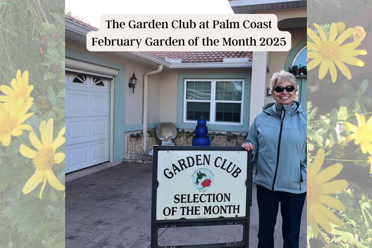 The Garden Club at Palm Coast has named Linda and Manny Dos Santos of Florida Park Drive as the February 2025 Garden Selection of the Month. Originally from New York they have lived in Palm Coast for 5 years but have been visiting here for over 25 years. Garden Club at Palm Coast February Garden Of The Month