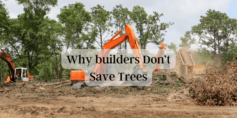 Land Clearing in Palm Coast and Flagler County