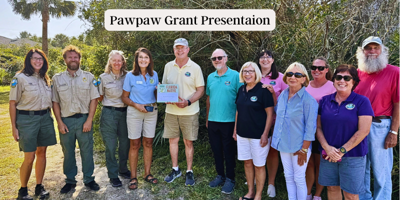 Photo legend from left: Pawpaw Chapter sign we have displayed in the campground; Pre-planting site in campground; Paul Rebmann, FROGRS Board member; FROGRS Board members receiving Pawpaw check from Vice President Inia Burginger; L to R: Park Services Specialist Stephanie York, Assistant Park Manager Chris Clauson, Park Manager Lynne Flannery, Pawpaw Chapter Florida Native Plant Society Vice President Inia Burginger, FROGRS President Greg Wilson, Paul Rebmann, Mary Ellen Setting, Laura Salter, Mary Anne Walsh, Megan Jones, Connie Schrider and Bill Denny. Pawpaw Grant Presentation