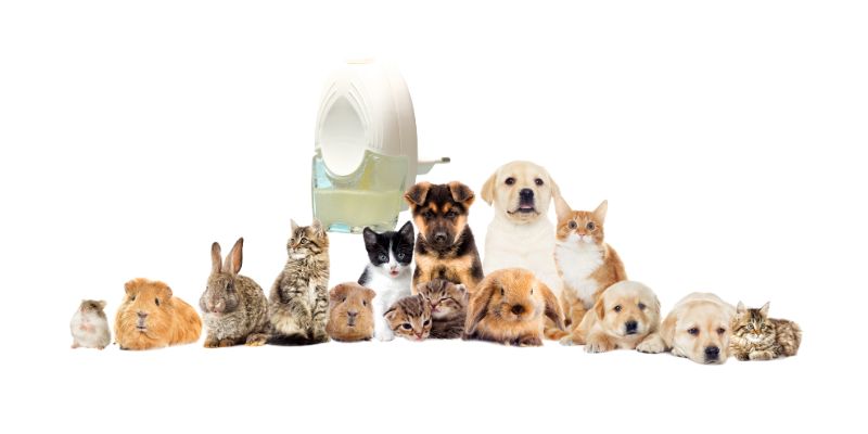 Plugin Air Fresheners are harmful to humans and pets Plugin Air Fresheners are harmful to humans and pets