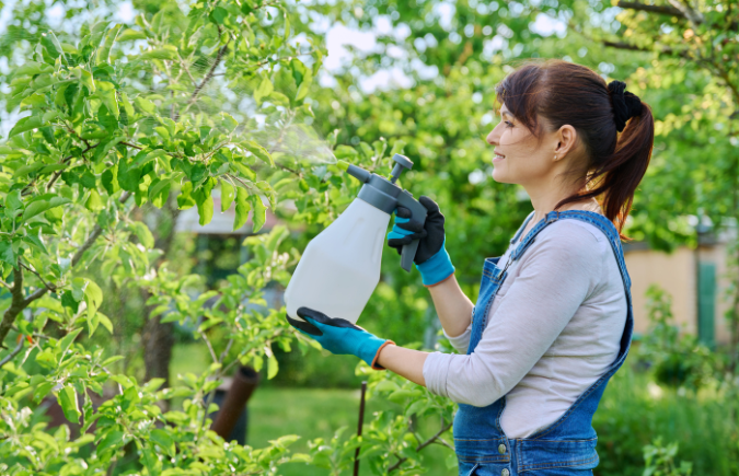 Baking Soda for Plants: A Green Thumb’s Secret Weapon Baking Soda for Plants: A Green Thumb’s Secret Weapon