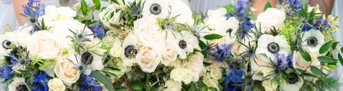 Blooming Flowers & Gifts