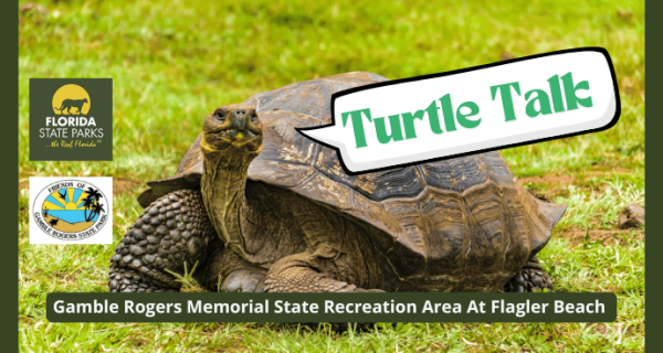 Gamble Rogers State Park in Flagler Beach | Palm Coast Local Events