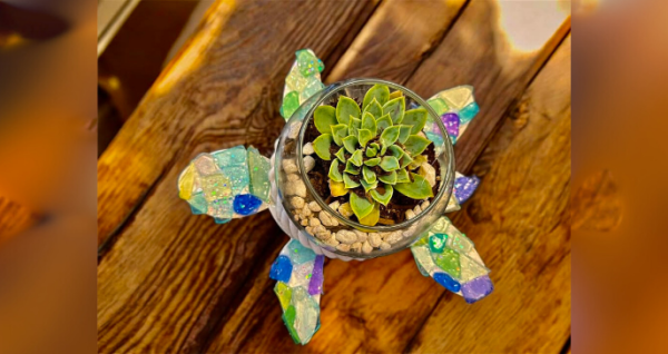Gamble Rogers Turtle Patrol Fundraiser – Sea Glass Sea Turtle Succulent Garden Workshop | Flagler Beach