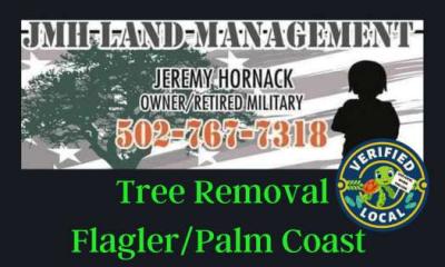 Flagler County Tree Removal Service | Palm Coast Local Discount